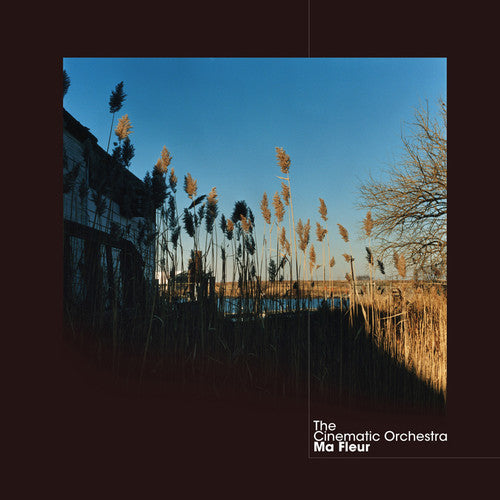 The Cinematic Orchestra- Ma Fleur - LP
