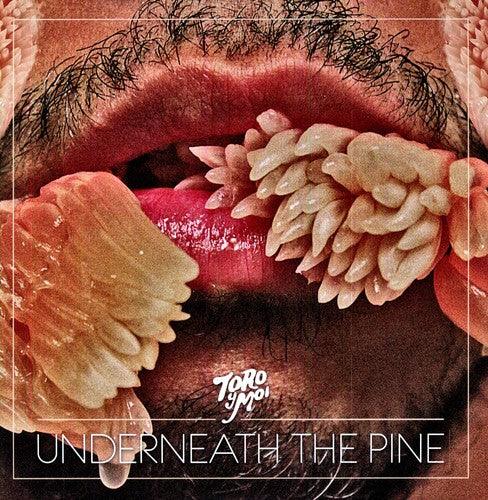 Toro y Moi- Underneath the Pine - LP