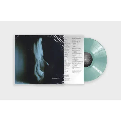 Tom Odell- A Wonderful Life (Indie Exclusive Vinyl) - LP