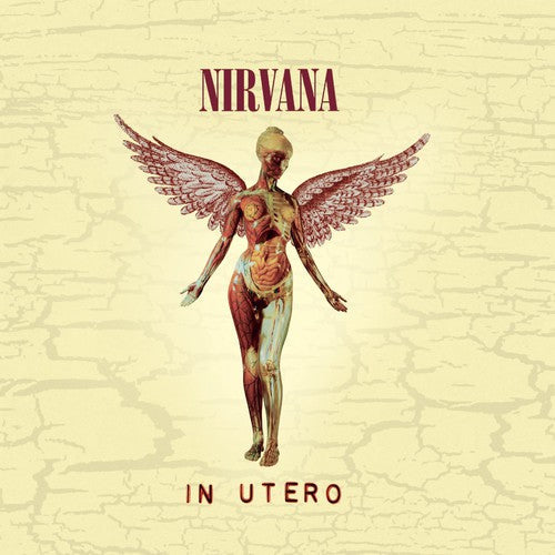 Nirvana: In Utero (20th Anniversary Edition) - CD