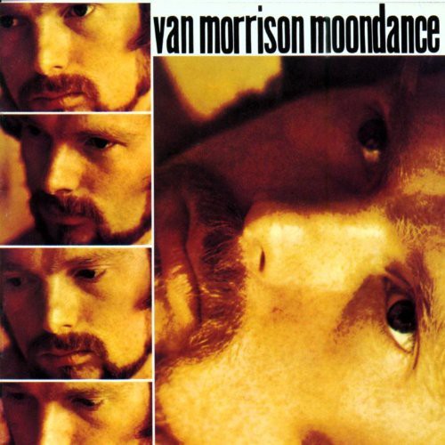 Van Morrison: Moondance - CD