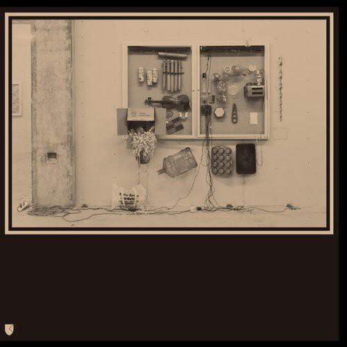 David Van Tieghem- Fits & Starts - LP