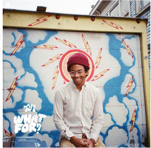 Toro y Moi- What for - LP