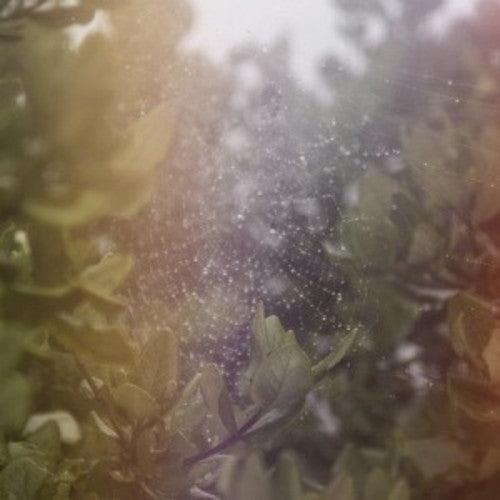 Posse- Perfect H / Voices - LP