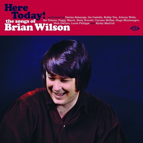 Here Today! Songs Of Brian Wilson / Various Uk- Here Today! Songs Of Brian Wilson / Various - LP