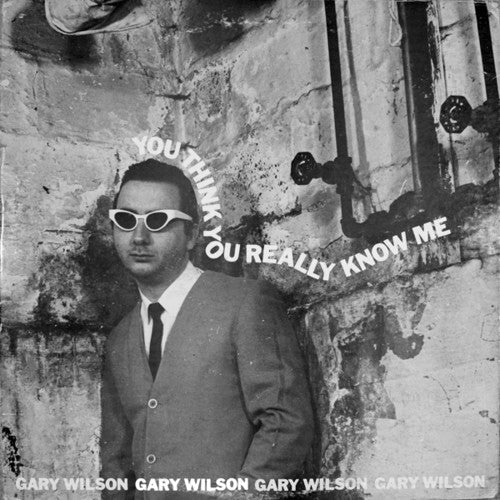 Gary Wilson- You Think You Really Know Me - LP