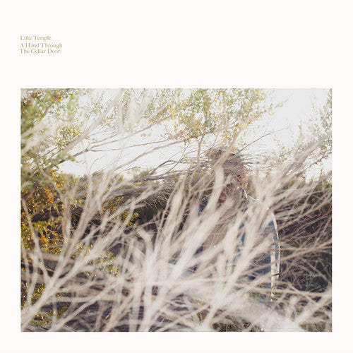 Luke Temple- A Hand Through The Cellar Door - LP