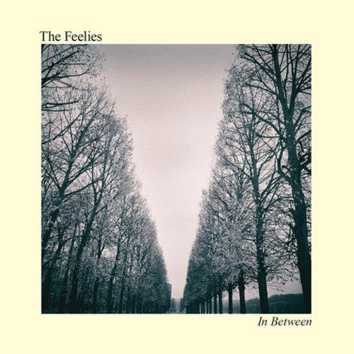 The Feelies- In Between - LP