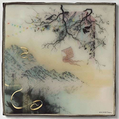 Novo Amor: Birthplace - VINYL