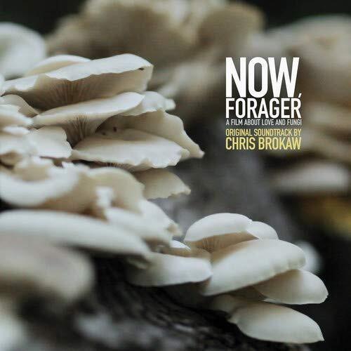 Chris Brokaw- Now Forager (Original Soundtrack) - LP