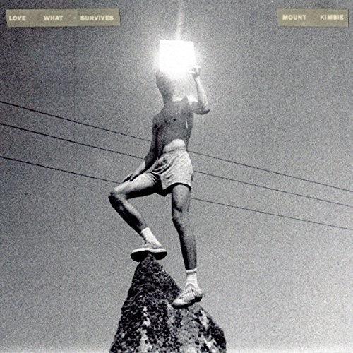 Mount Kimbie- Love What Survives - LP