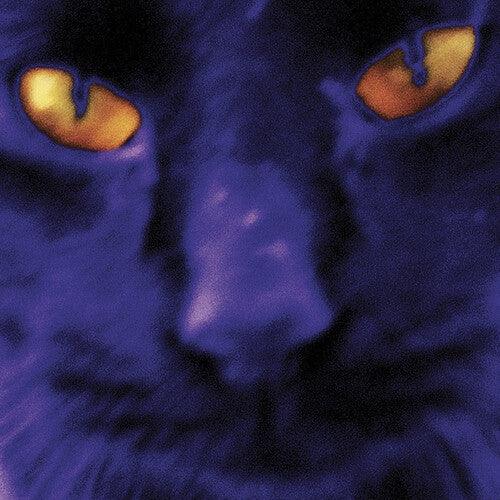 David Kilgour and the Heavy Eights- Bobbie's A Girl - LP