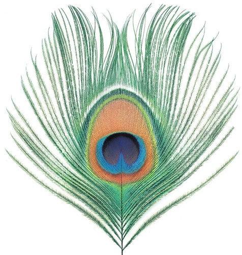 XTC- Apple Venus Vol 1 - LP