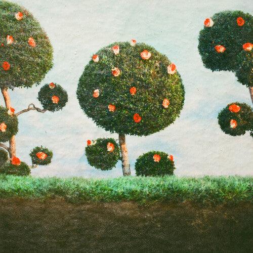 Midnight Sister- Painting the Roses - LP