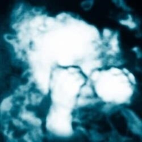 Sandra Monfort- Nino Reptil Angel - LP