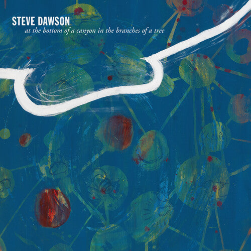 Steve Dawson- At The Bottom Of A Canyon In The Branches Of Tree - LP