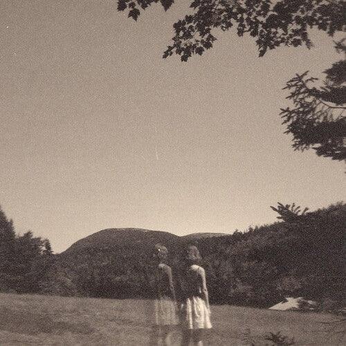 Goldmund- The Malady Of Elegance - LP