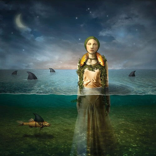 The Bled- Found In The Flood - LP
