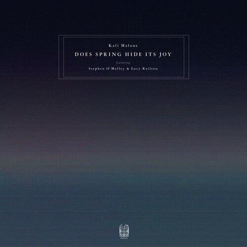 Does Spring Hide Its Joy - LP