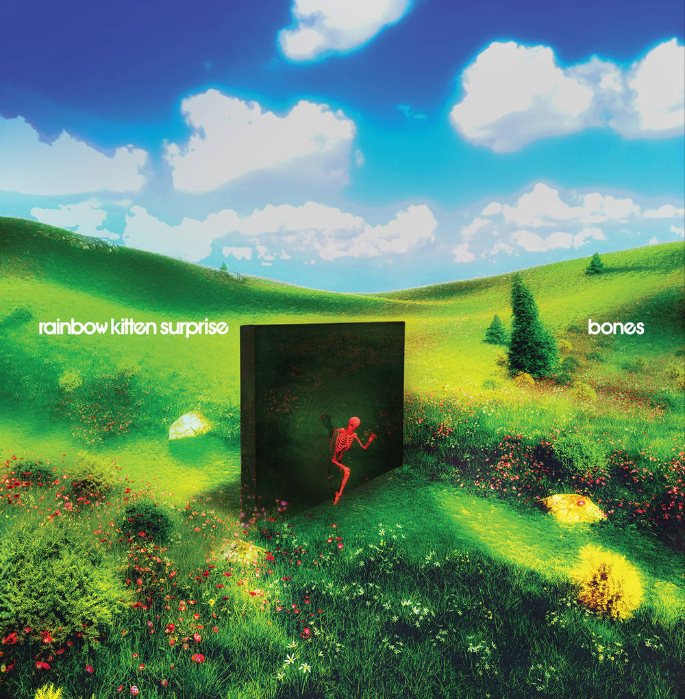 Rainbow Kitten Surprise- bones - LP