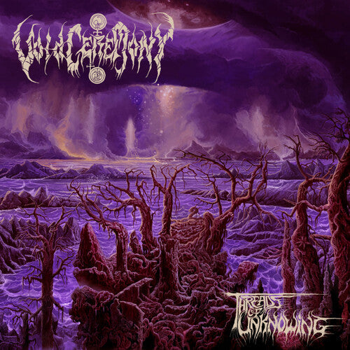 Threads Of Unknowing - LP