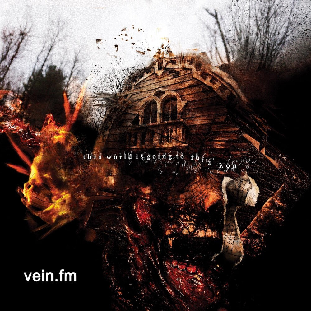 Vein.Fm- This World Is Going To Ruin You - LP