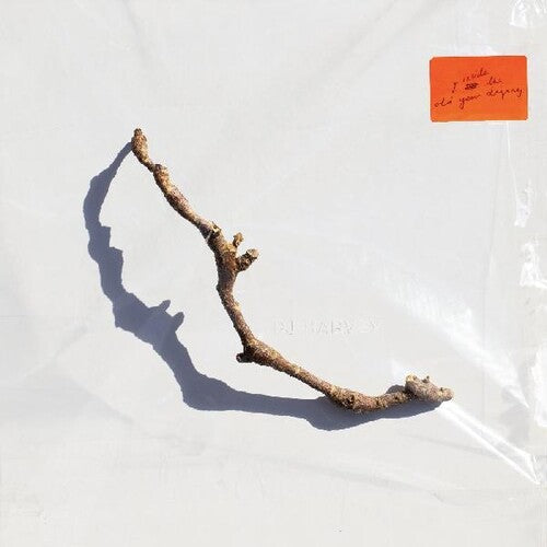 PJ Harvey: I Inside The Old Year Dying - CD