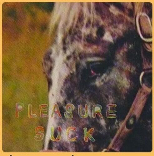 Spirit of the Beehive- Pleasure Suck - LP