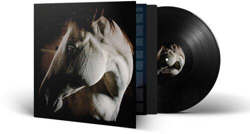 Brother Dege- How To Kill A Horse - LP