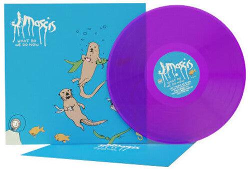 J Mascis (Dinosaur Jr.)- What Do We Do Now - LP