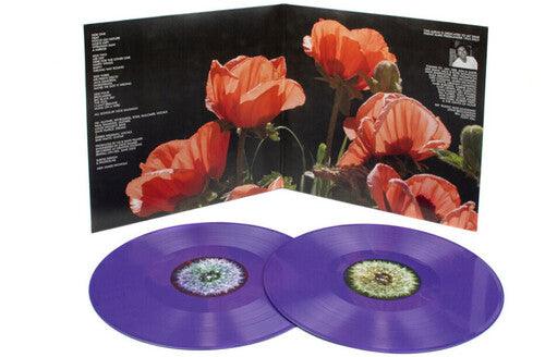 The Bevis Frond- Focus On Nature - LP