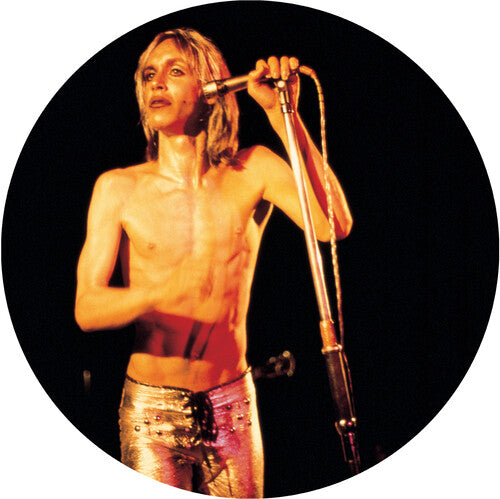 Iggy & The Stooges: More Power - VINYL