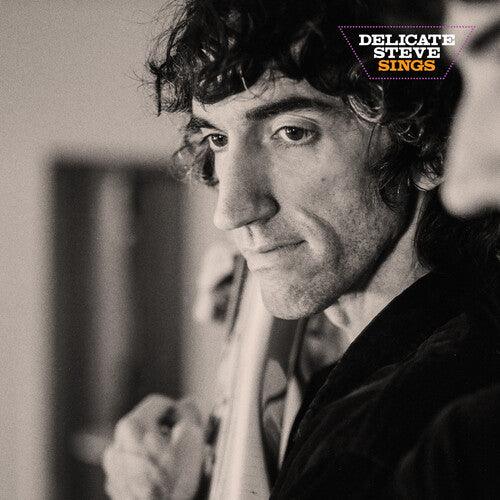 Delicate Steve- Delicate Steve Sings - LP
