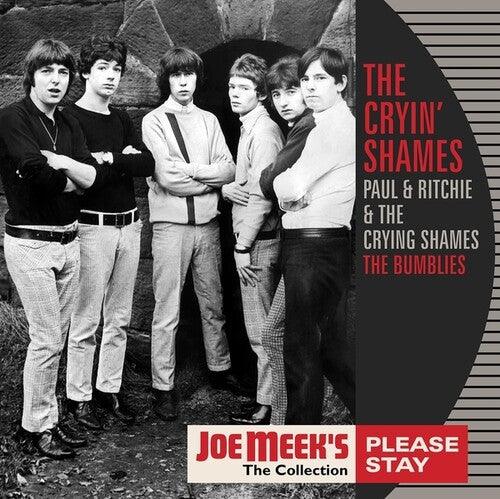Cryin Shames- Please Stay - LP
