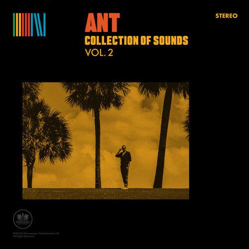 Ant- Collection of Sounds Vol. 2 - Yellow - LP