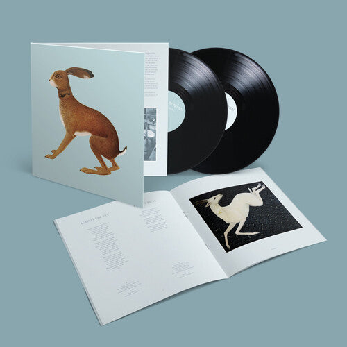 Vashti Bunyan- Lookaftering - Expanded - LP
