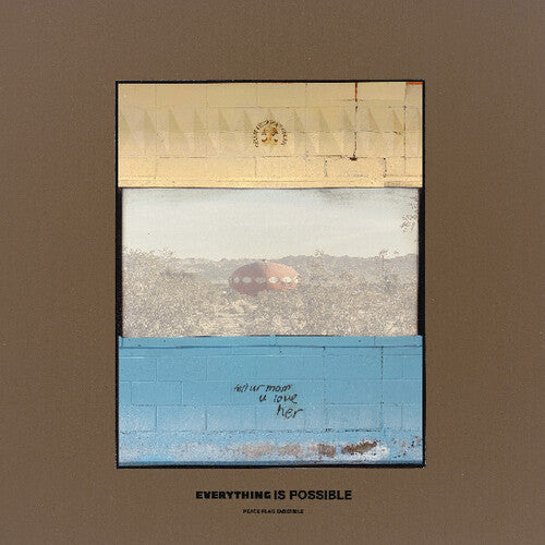 Peace Flag Ensemble- Everything Is Possible - LP