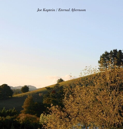 Joe Kaptein- Eternal Afternoons - LP