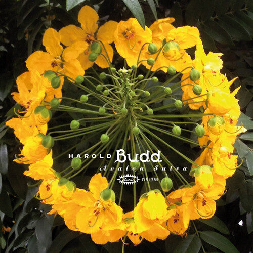 Harold Budd- Avalon Sutra - LP
