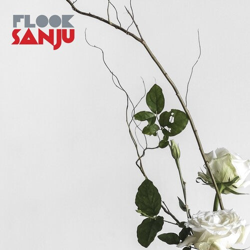 Flook- Sanju - LP