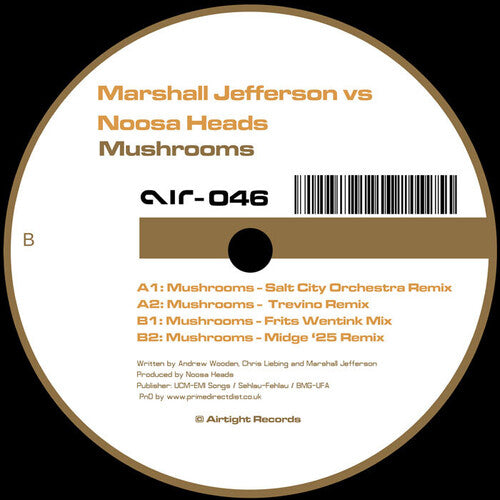 Mushrooms (2025 Remixes) - LP