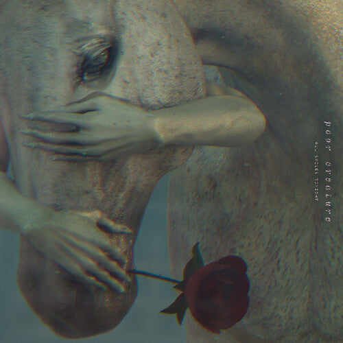 Poor Creature- All Smiles Tonight - LP