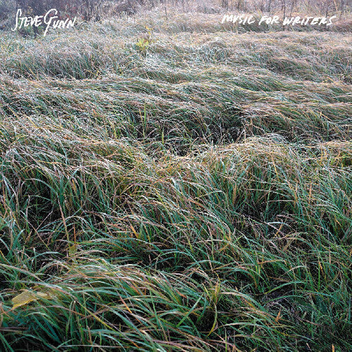 Steve Gunn- Music For Writers - LP