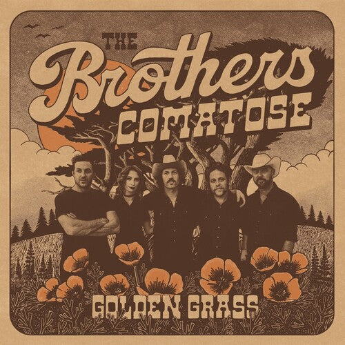 The Brothers Comatose- Golden Grass - Splattered Orange & Blue - LP