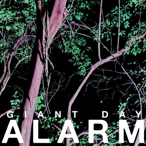 Giant Day- Alarm - LP