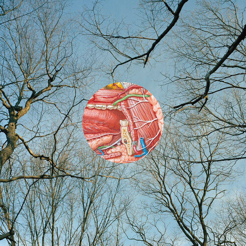 They Might Be Giants- Glean - LP
