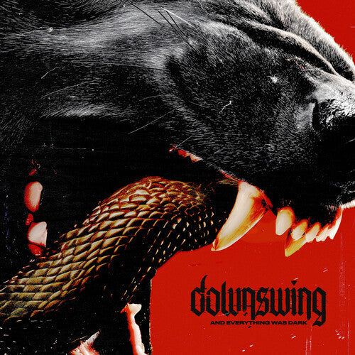 Downswing- And Everything Was Dark - LP