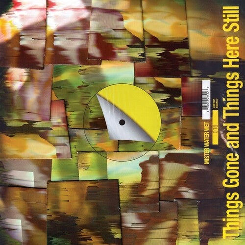 Mister Water Wet- Things Gone and Things Here Still - LP