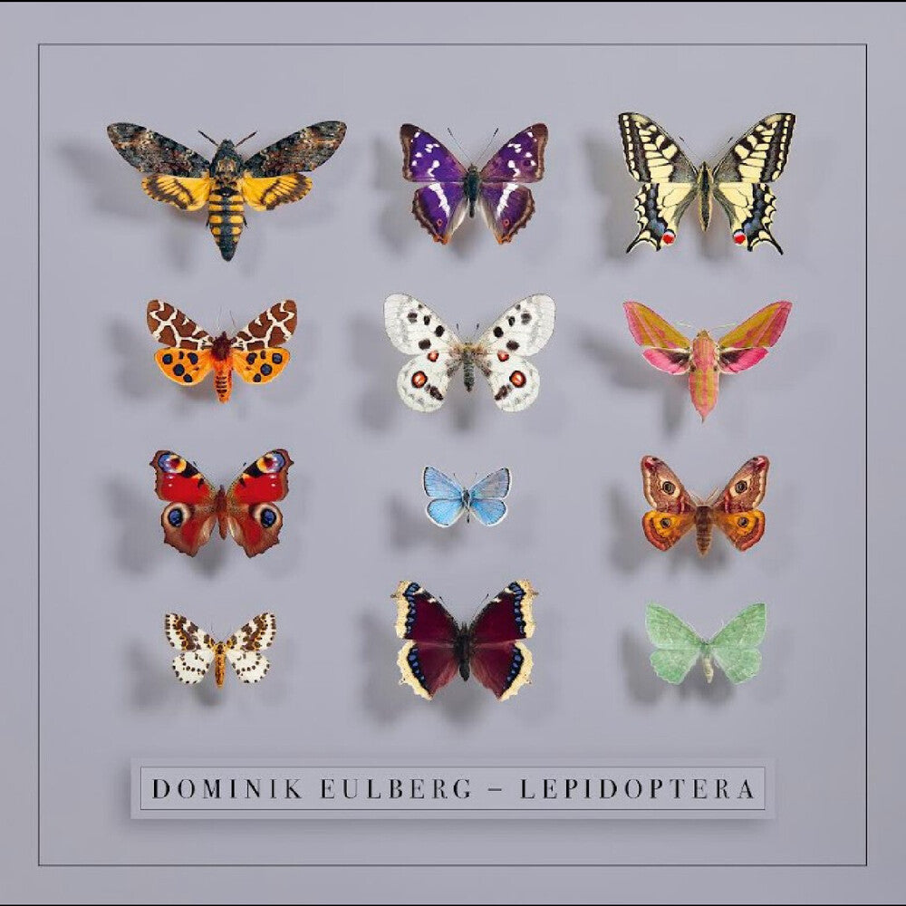 Dominik Eulberg- Lepidoptera (Uk) - LP
