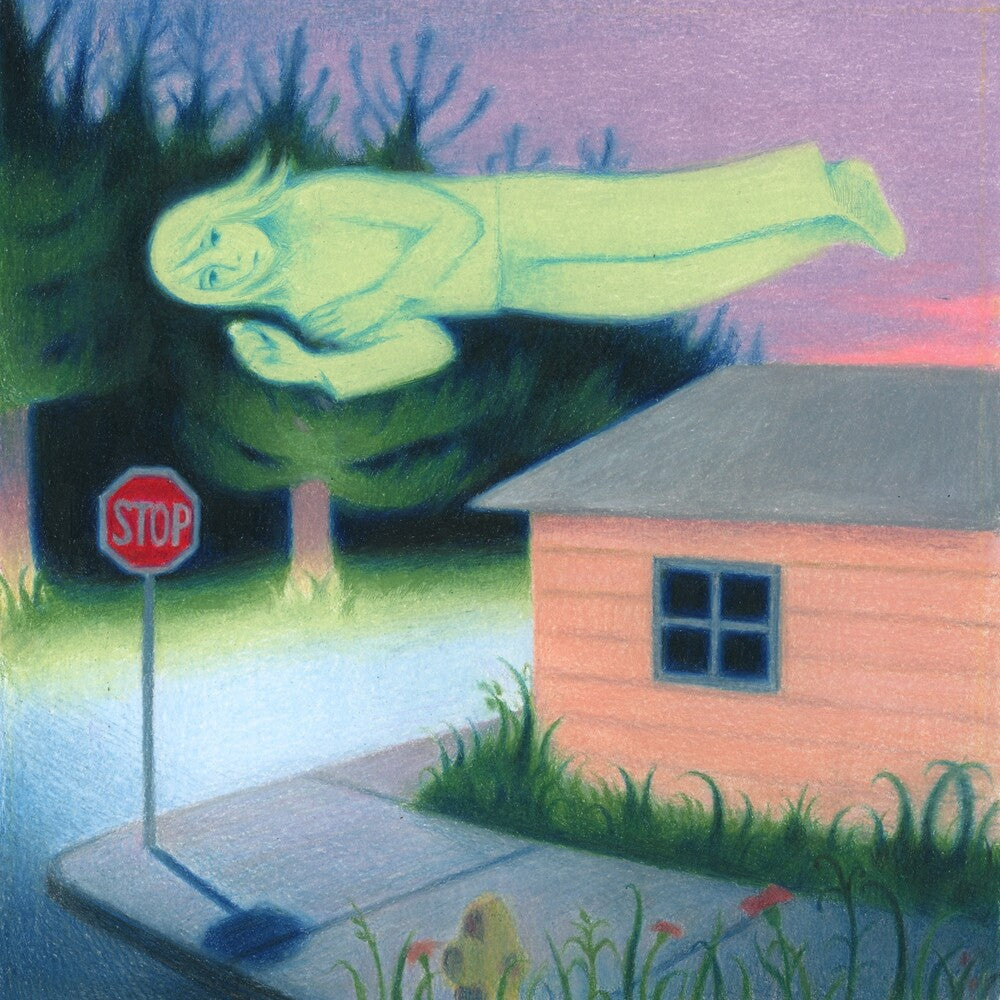 Fanclubwallet- Living While Dying - LP